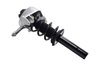 3335832R Suspension Strut and Coil Spring Assembly - image 2