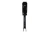 3335850 Suspension Strut and Coil Spring Assembly - image 1
