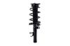 3335877L Suspension Strut and Coil Spring Assembly - image 1