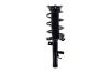 3335877R Suspension Strut and Coil Spring Assembly - image 1