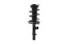 3335909L Suspension Strut and Coil Spring Assembly - image 1