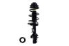3335992L Suspension Strut and Coil Spring Assembly - image 1