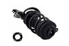 3335992L Suspension Strut and Coil Spring Assembly - image 4