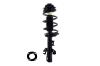 3335992R Suspension Strut and Coil Spring Assembly - image 1