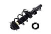 3335992R Suspension Strut and Coil Spring Assembly - image 3
