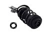 3335992R Suspension Strut and Coil Spring Assembly - image 4