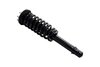 3336347R Suspension Strut and Coil Spring Assembly - image 2