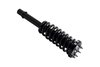 3336347R Suspension Strut and Coil Spring Assembly - image 4
