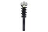 3337073 Suspension Strut and Coil Spring Assembly - image 1