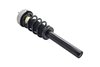3337073 Suspension Strut and Coil Spring Assembly - image 2