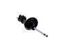 333830R Suspension Strut Assembly - image 4