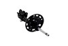 333870R Suspension Strut Assembly - image 4