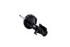 334012R Suspension Strut Assembly - image 2