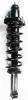 3345484 Suspension Strut and Coil Spring Assembly - image 1