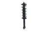 3345685L Suspension Strut and Coil Spring Assembly - image 1