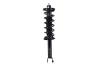 3345793L Suspension Strut and Coil Spring Assembly - image 1