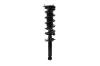 3345879R Suspension Strut and Coil Spring Assembly - image 1