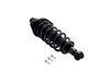 3355016L Suspension Strut and Coil Spring Assembly - image 2