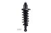 3355016R Suspension Strut and Coil Spring Assembly - image 1
