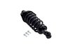 3355016R Suspension Strut and Coil Spring Assembly - image 2