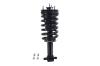 3355037 Suspension Strut and Coil Spring Assembly - image 1