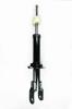 335547 Suspension Strut Assembly - image 1