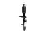 335579R Suspension Strut Assembly - image 1