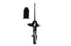 335589L Suspension Strut Assembly - image 1