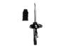 335589R Suspension Strut Assembly - image 1