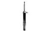 335632L Suspension Strut Assembly - image 1