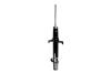 335797L Suspension Strut Assembly - image 1
