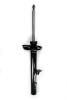 336313 Suspension Strut Assembly - image 1
