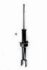 336315 Suspension Strut Assembly - image 1