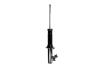 336322R Suspension Strut Assembly - image 1