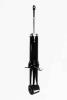 336343 Suspension Strut Assembly - image 1