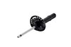 337079R Suspension Strut Assembly - image 3