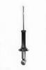 345315 Suspension Strut Assembly - image 1