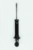 345407 Suspension Strut Assembly - image 1
