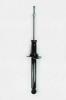 345413 Suspension Strut Assembly - image 1