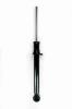 345428 Suspension Strut Assembly - image 1