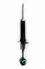345444 Suspension Strut Assembly - image 1