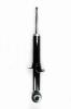 345447 Suspension Strut Assembly - image 1