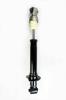 345461 Suspension Strut Assembly - image 1