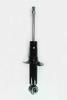345470 Suspension Strut Assembly - image 1