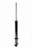345503 Suspension Strut Assembly - image 1
