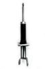 345567 Suspension Strut Assembly - image 1