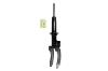 345677R Suspension Strut Assembly - image 1