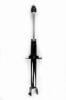 345685 Suspension Strut Assembly - image 1