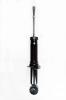 345689 Suspension Strut Assembly - image 1
