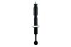 345950 Suspension Strut Assembly - image 1